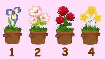 Uncover Your Personality Through Your Flower.