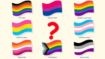 Which pride flag identifies you?