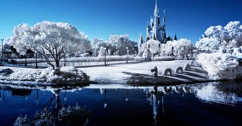 Choose a season that represents your relationship.