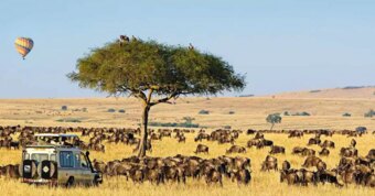 Select a dream getaway: