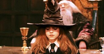 During the Sorting Hat ceremony, you hope to avoid being placed in: