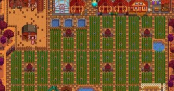 What is the first step you take when beginning your farm?