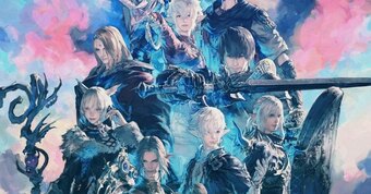 What position do you typically assume in a team?