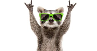 In what ways do you honor your identity?