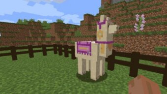 How do you collect food in Minecraft?