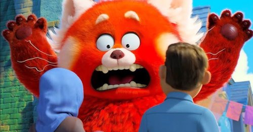 What would your thoughts be on transforming into a giant red panda?