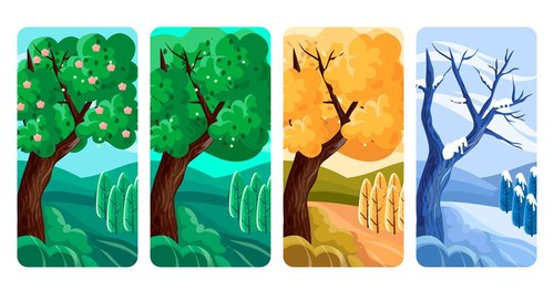 In which season were you born?